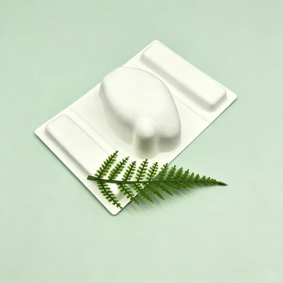 Customized Recycled Packaging For Beauty Device best
