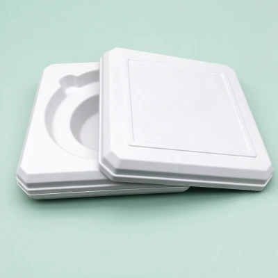 Auditing China Bagasse Boxes Before the Deposit
