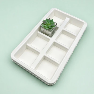 Customized Disposable Paper Plates on a Budget