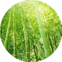 productcate-200-200